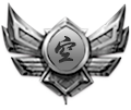无名打手